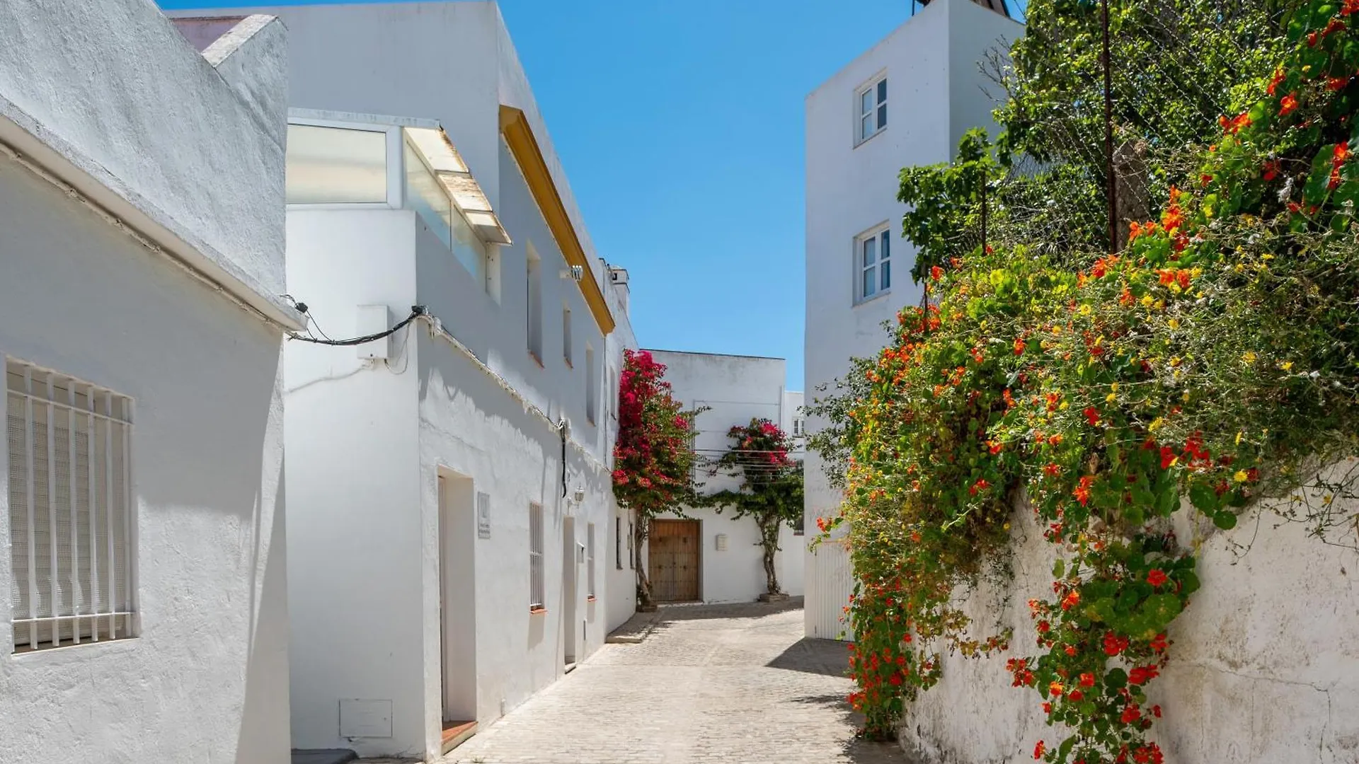 Apartamento Callejon De La Fuente Vejer de la Frontera Apartment